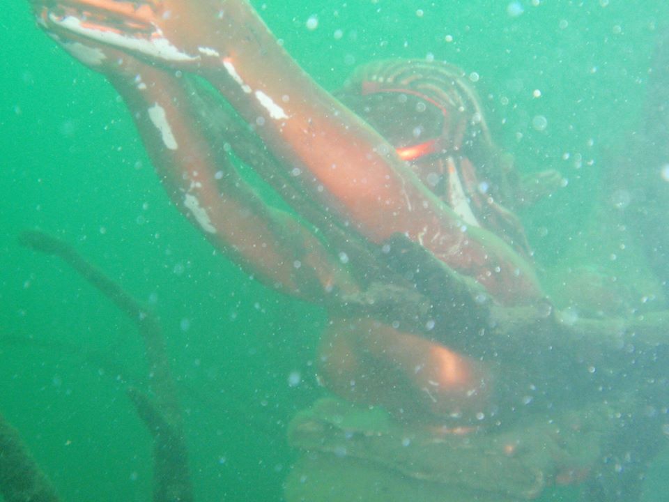 Svobodne Hermanice wyprawa nurkowa Sealion